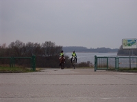 nordseedistanfotoalb..jpg